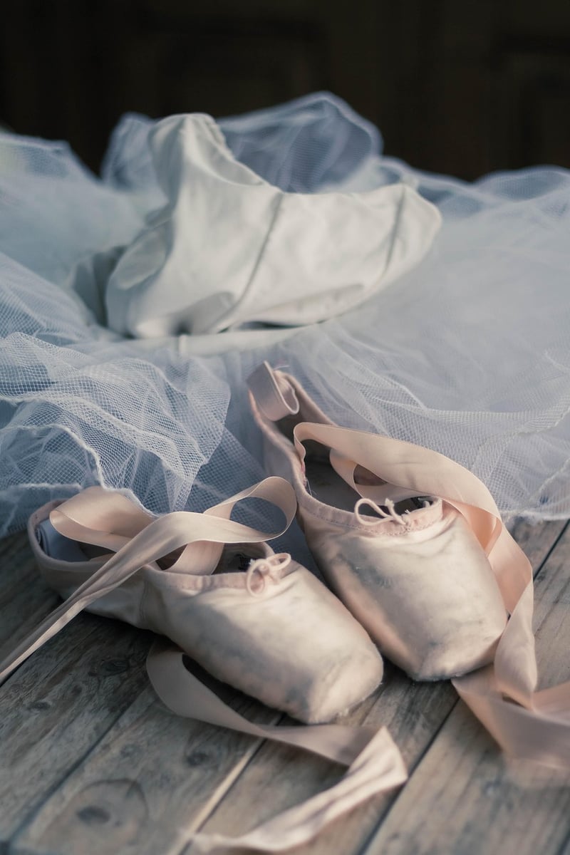 Ballet Workshops